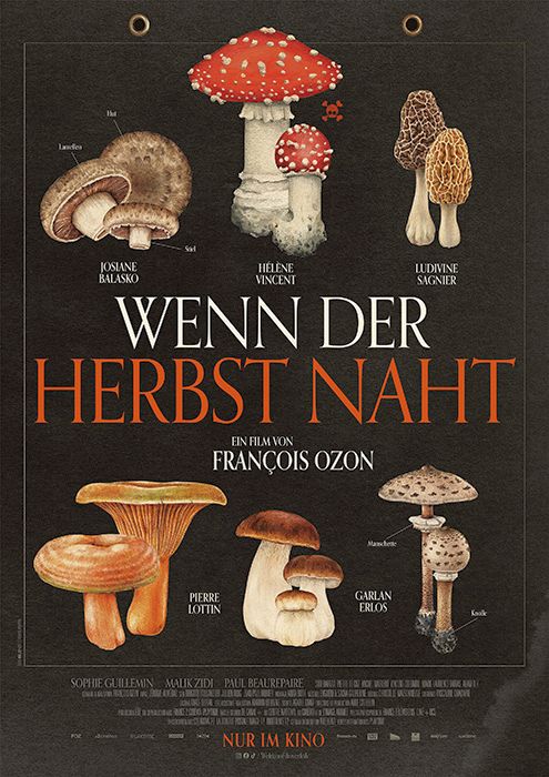 Wenn der Herbst naht